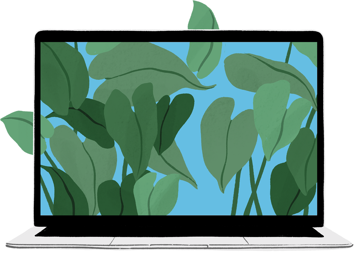 Au portrait s’ajoute l’illustration d’un MacBook Air avec des feuilles vertes sortant de l’écran.